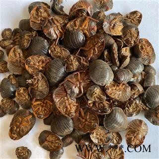 土鳖虫 土元土鳖虫水洗腹空大选货 产地 山东省 道地药材 发货快 支持小包装拿样 7天无理由退货图4