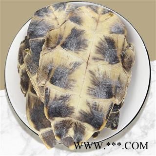 龟甲 旱龟板选货 产地 山东省 道地药材 发货快图2