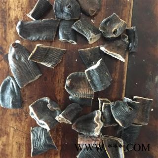 水蛭 大水蛭清水统货 产地 江苏省图2