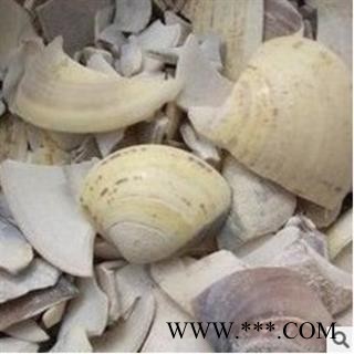 海螺 海蛤壳 统 产地 浙江省绍兴市市辖区图2