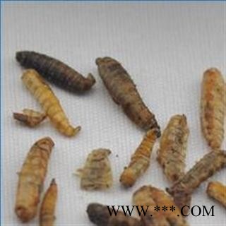 五谷虫 统 产地 河南省鹤壁市市辖区图2