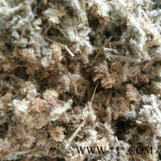 鼠曲草 佛耳草、追骨风、绒毛草。鼠耳、无心草、鼠耳草、香茅、蚍蜉酒草 老鼠艾  统货 产地 江苏省图2