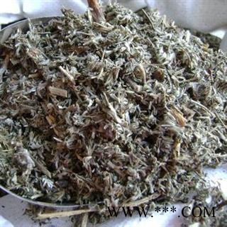 翻白草 新货颜色好 统 产地 河南省 产地直销 重在质量图2