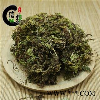 大货回心草茴心草茴薪草岩谷伞大野藓铁脚一把伞专注品质，诚信信邦！图3