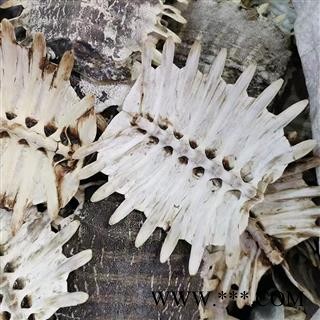 【鳖甲统货】鳖甲 鳖甲统货 带皮鳖甲 生鳖甲图2