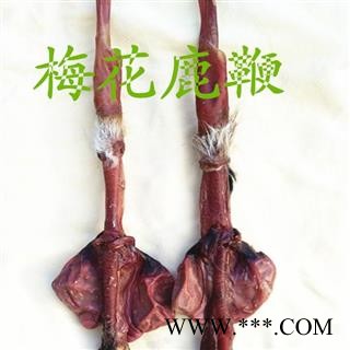 鹿鞭 梅花鹿鞭 产地 吉林省白山市抚松县图3