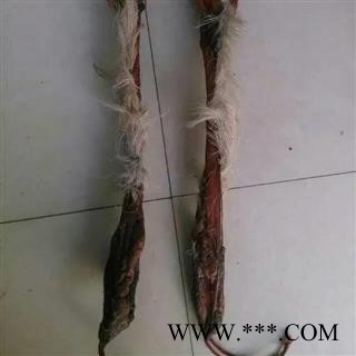 鹿鞭 马鹿鞭，重200克以上 产地 吉林省白山市抚松县图3