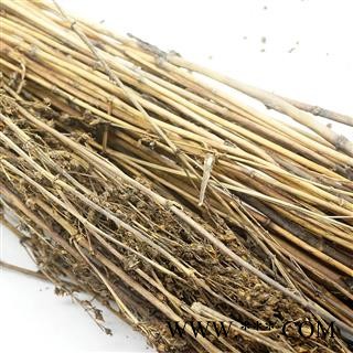 西藏藏茵陈茵陈草西藏特产冷背专注品质，诚信信邦！图2