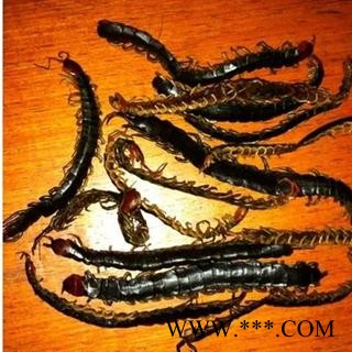 蜈蚣不插竹签 统 产地 湖北省荆门市市辖区图2
