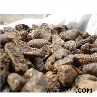 蛴螬 统 产地 安徽省亳州市谯城区图2