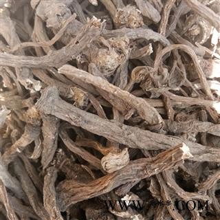 蒲公英 蒲公英根 产地 吉林省图2