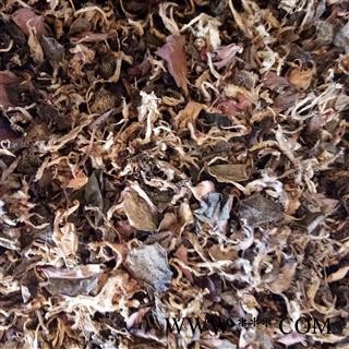 金线莲 家种金线莲 产地 广西壮族自治区图2