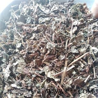 鱼腥草 好统货 新店开业 欢迎选购 产地 四川省图2