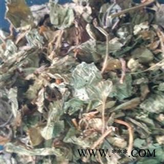 鱼腥草 家种鱼腥草段  产地 四川省图2