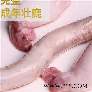 鹿鞭,新鲜鹿鞭整只保鲜鹿鞭养殖鹿鞭200克左右图2