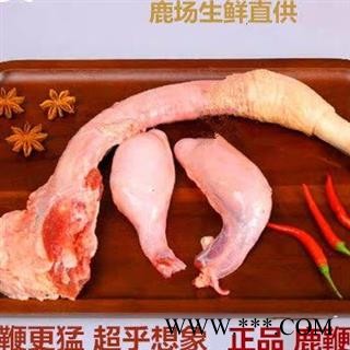 鹿鞭，新鲜鹿鞭整只保鲜鹿鞭养殖鹿鞭200克左右
