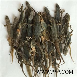 煜庭药业 壁虎 守宫、蝘、蜒、蝎虎、壁宫图2