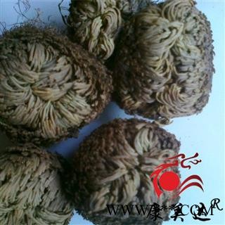 卷柏 石上柏  九死还魂草 统货 产地 四川省 凯捷中药图2