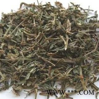 萹蓄 统 产地 山东省 产地直销 重在质量图3