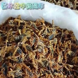 全虫 蝎子公蝎子没肚子干度好纯清水 符合药典标准 专注品质，诚信图3