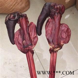 鹿鞭 鹿鞭带鹿尾巴精美礼盒包装鹿场直供 产地 吉林省白山市抚松县图2