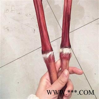 鹿鞭 鹿鞭带鹿尾巴精美礼盒包装鹿场直供 产地 吉林省白山市抚松县图3