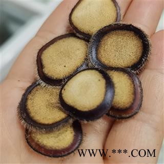 纯正梅花鹿茸半蜡片，鹿茸片养殖鹿鹿茸图4