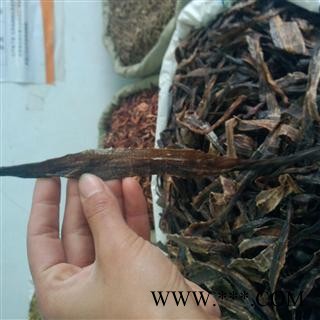 地龙 产地 广西壮族自治区图2