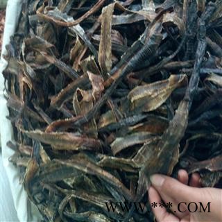 地龙 产地 广西壮族自治区图3