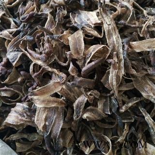 地龙 统 产地 山东省图2