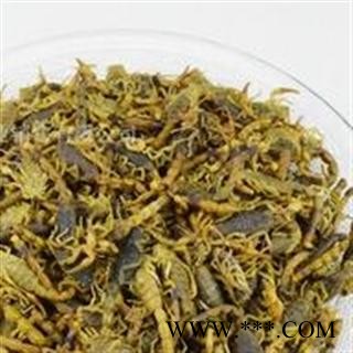 全虫 山西陕西盐水全蝎秋货 产地 山西省  双鹏药材行 可提供打粉图2