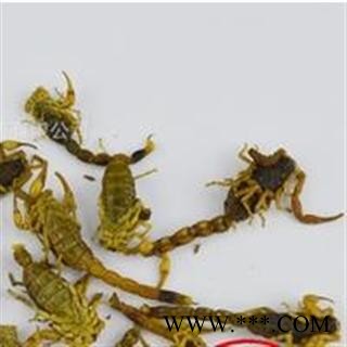 全虫 山西陕西盐水全蝎秋货 产地 山西省  双鹏药材行 可提供打粉图3