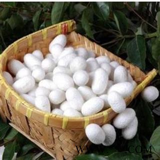 蚕茧 优 产地 浙江省绍兴市绍兴县  双鹏药材行 可提供打粉图3