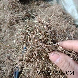 丽丽药业 半边莲蛇舌草 中药材批发 正品保证实图拍照7天无理由退货退款图2