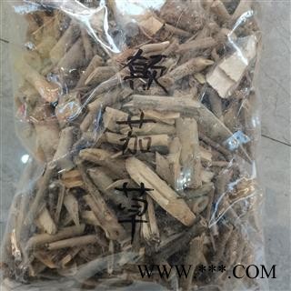 颠茄草 别明 美女草、别拉多娜草  华安堂图4