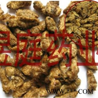 煜庭药业  原蚕蛾 雄蚕蛾图4