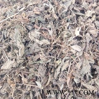 车前草 统货 产地 江西省图2