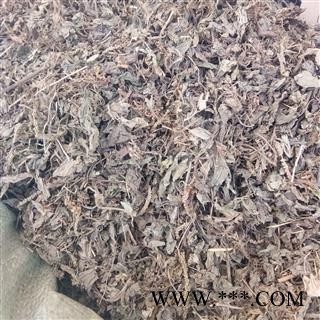 车前草 统货 产地 江西省图3