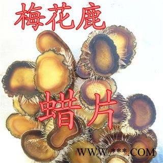 人工驯养鹿茸 梅花鹿茸全蜡片 产地 吉林省白山市抚松县