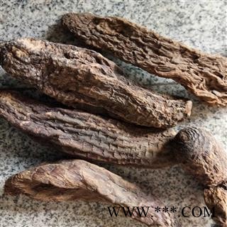 肉苁蓉 大云 大芸 硬质大云 产地 新疆维吾尔自治区图3