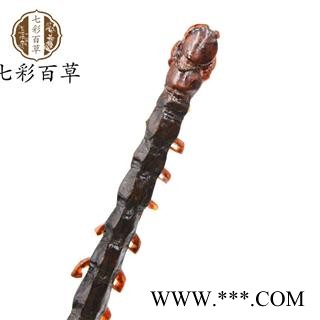 蜈蚣 进口蜈蚣17cm左右 产地 海外图4