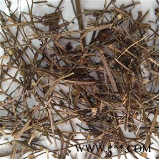 半枝莲干净无杂质正品保证质量7天无理由退货退款 中药材批发丽丽药业图3