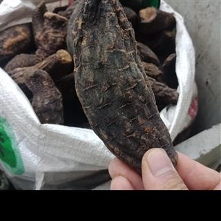 丽丽药业 肉苁蓉中药材批发新疆肉苁蓉个大芸中药材批发商保证实图拍照7天无理由退货退款图2