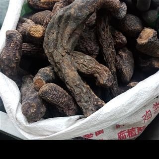 丽丽药业 肉苁蓉中药材批发新疆肉苁蓉个大芸中药材批发商保证实图拍照7天无理由退货退款图3