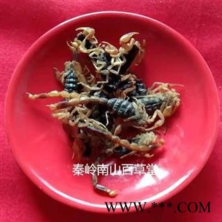 【精品全蝎】中药材陕西秦岭全蝎无损坏 手工精选 日晒无硫50g图3