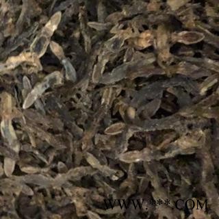 壁虎 天龙 进口壁虎统个  产地 海外 买好药找娟子图3