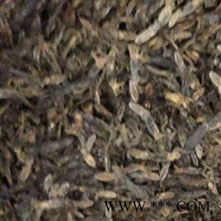 壁虎 天龙 进口壁虎统个  产地 海外 买好药找娟子图2