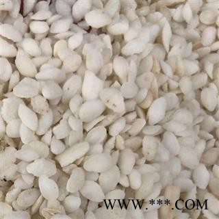 娟子中药 鱼脑石 鱼脑石统货 产地 浙江省图2