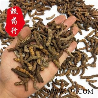 僵蚕 制僵蚕炒僵蚕统货 一手货源批发 产地四川 甄选药材行图4