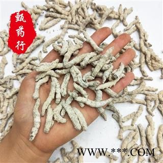 僵蚕 川僵蚕未过石灰选货 一手货源批发 产地四川 甄选药材行 为你真选好药材图3